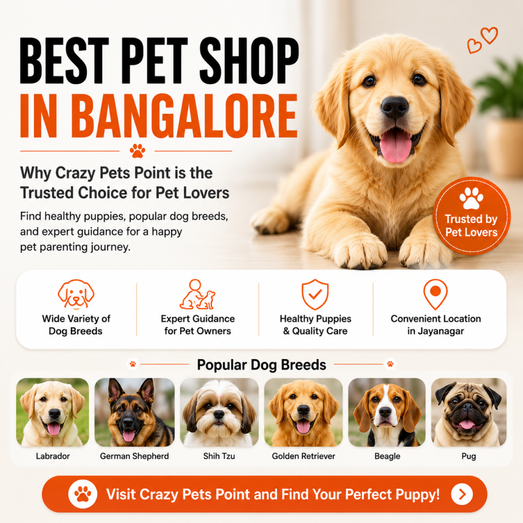Best Pet Shop in Bangalore
